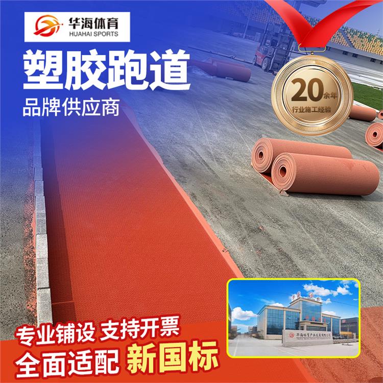 石嘴山市半预制跑道预制型塑胶跑道 - 方案